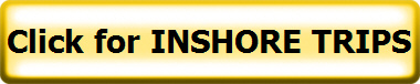 Click for INSHORE TRIPS